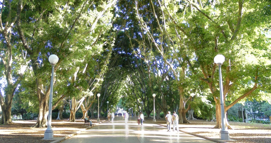 Best Things to Do In Sydney's Central Business District