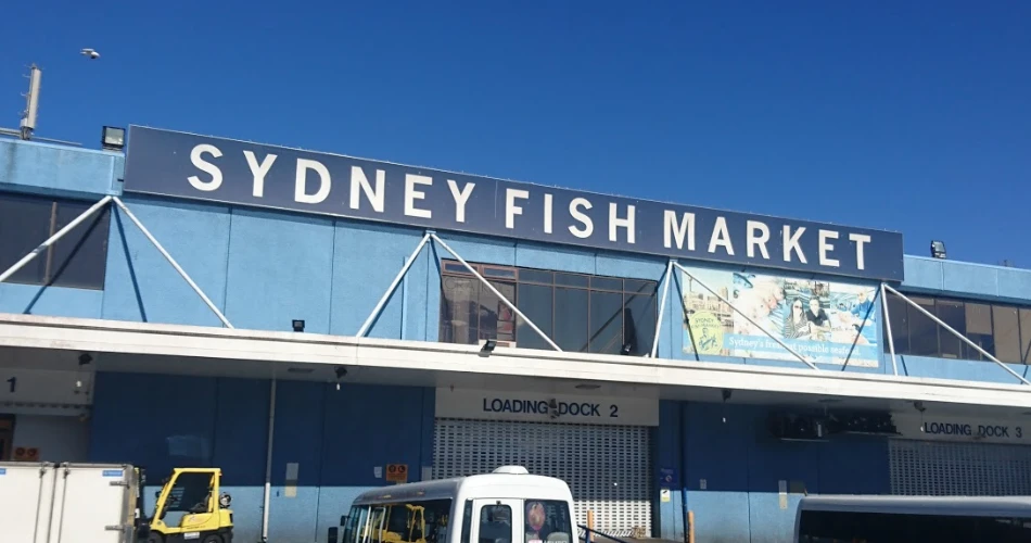 Best Things to Do In Sydney's Central Business District