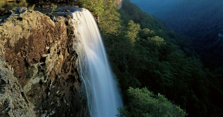 Sydney to Jervis Bay Road Trip: The Perfect Drive Itinerary