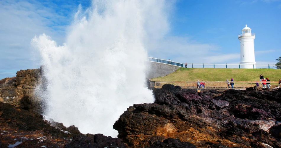 Sydney to Jervis Bay Road Trip: The Perfect Drive Itinerary
