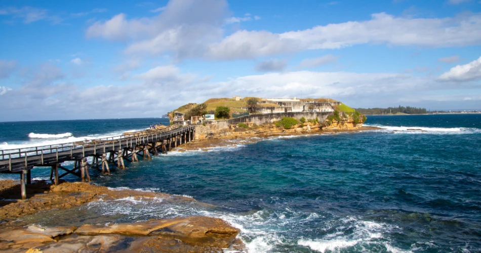 Sydney to Jervis Bay Road Trip: The Perfect Drive Itinerary
