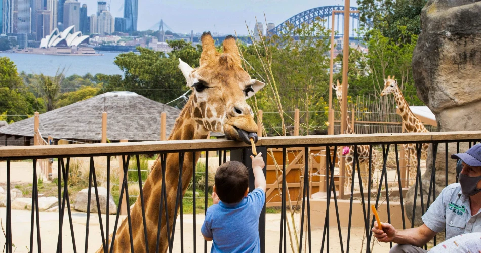 10 Best Attractions in Sydney