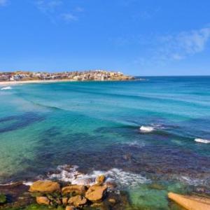 The Village Bondi Beach New South Wales