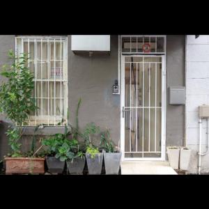 Central hot spot of Darlinghurst